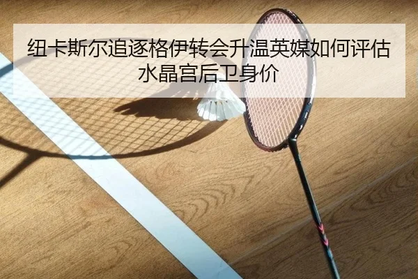 纽卡斯尔追逐格伊转会升温英媒如何评估水晶宫后卫身价