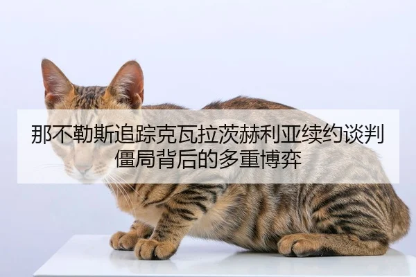 那不勒斯追踪克瓦拉茨赫利亚续约谈判僵局背后的多重博弈
